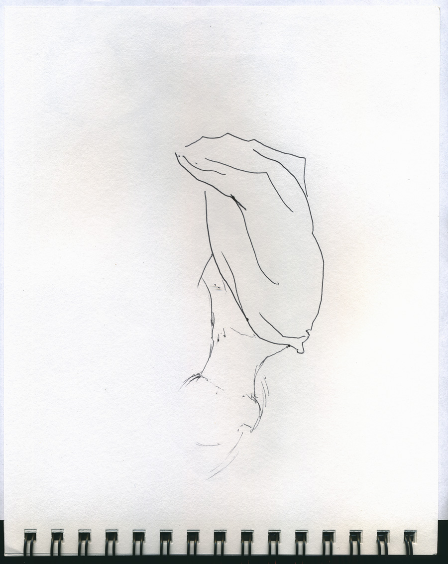 0807296