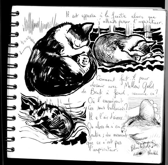 pitibook06